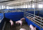 Landwirtschaftlicher Stahlbauernhof verschüttet Vieh/Schwein-Schutz für ländliche 100~150 Km-/Hwind-Last